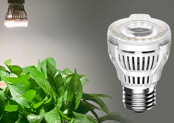 LED显示屏,全彩LED显示屏,LED显示屏厂家,LED照明厂家,植物照明,智能系统,照明品牌,灯具品牌,LED灯具厂家,智能照明